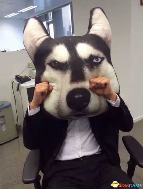 每日轻松一刻11月19午间日本男卖二战淫秽照被捕