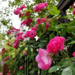 电话,地址,价格,营业时间