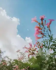 冯骥才时间有时像尘土需要打发掉,有时确实比金银财宝还要珍贵