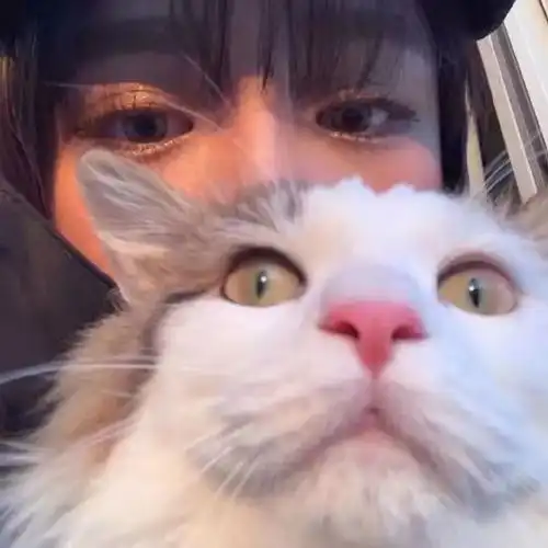 对错过的人想说的话