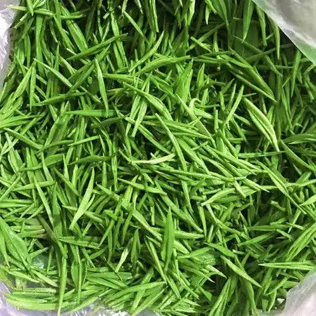 2020三门新茶绿茶百瀑谷茶叶特产绿茶无公害半斤装图片大全邮乐官方网站