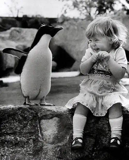 为什么艺术教育无法被替代