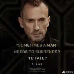 越狱回归,tbag才是真正的童年阴影啊