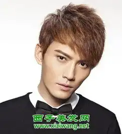 新年男士剪什么发型好看2014年最帅气男士发型