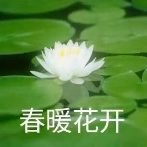 成熟稳重的男人用什么头像