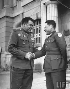 1946年苏军占领东北,为生计日本侨民男的摆摊,女的做站街女