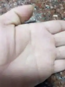 男人断掌会怎样