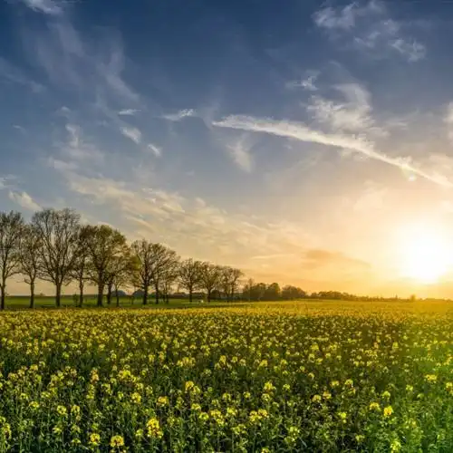 2023别致一天风景头像