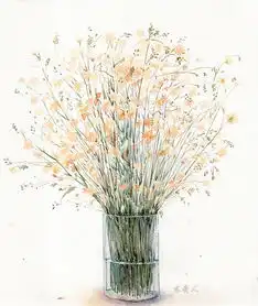 苏菲的世界永远不要失去对这个世界的好奇心