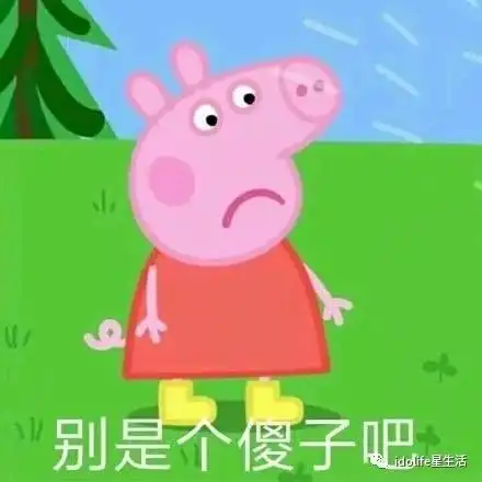 这1001个沙雕礼物,比收到李晨的石头还让人心塞