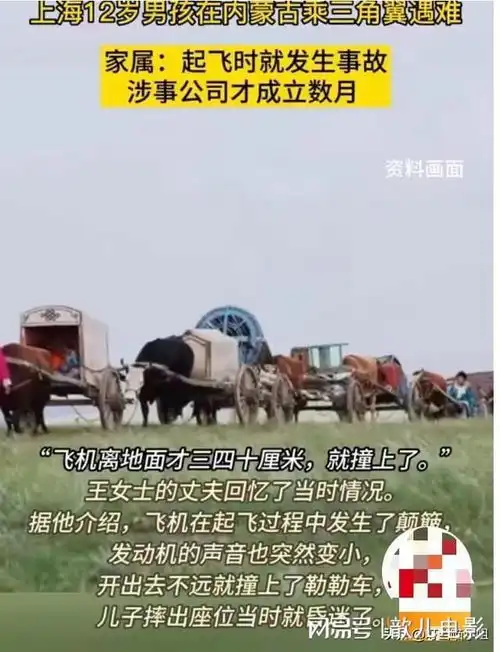 12岁男孩内蒙古搭乘三角翼不幸坠机遇难,家属透露更多细节