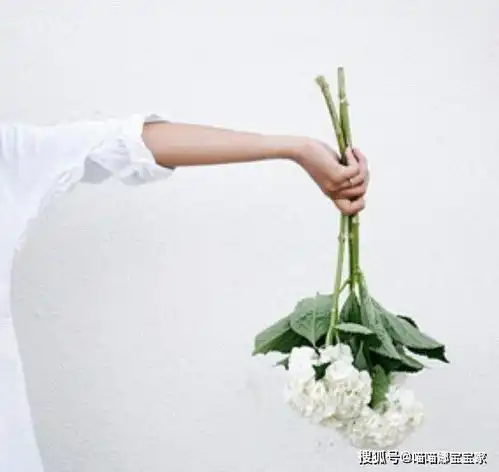 有情劫,感情经历不会少的星座