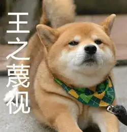 史上最全柴犬表情包合集来啦,约吗