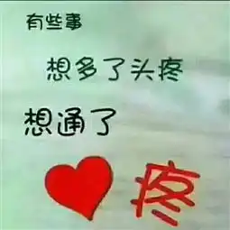 精选图片帖大悟论坛第244页