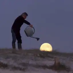 被星星砸到了脑袋的微博微博