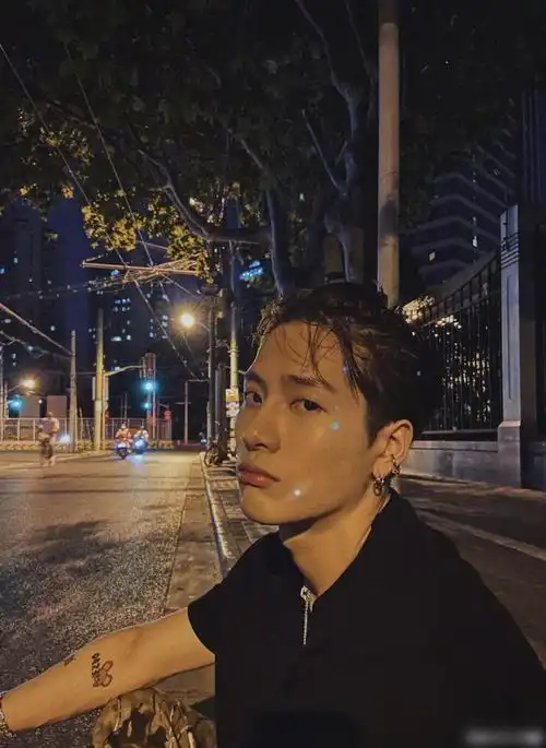 王嘉尔解约后续被海外网友围攻,评论区沦陷损失巨大