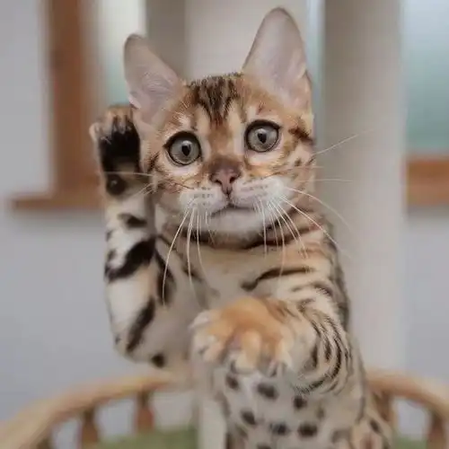 每日吸丨请最可爱的那位同学举一下手