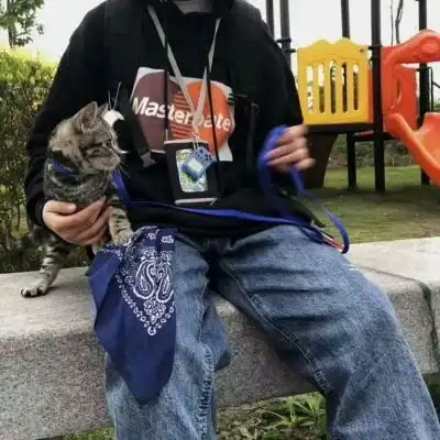 带动物暖心头像酷部位男生猫男生头像我要个性网