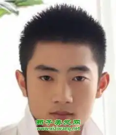 校园男生一寸头发型图片,示范男生寸头发型如何打理