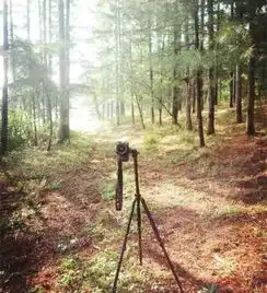 一个人旅行应该怎样自拍