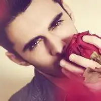 2017微信头像风景或花草玫瑰花