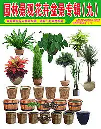 花草树木盆景psd素材专辑九图片psd模板下载151.02mb花卉大全自然