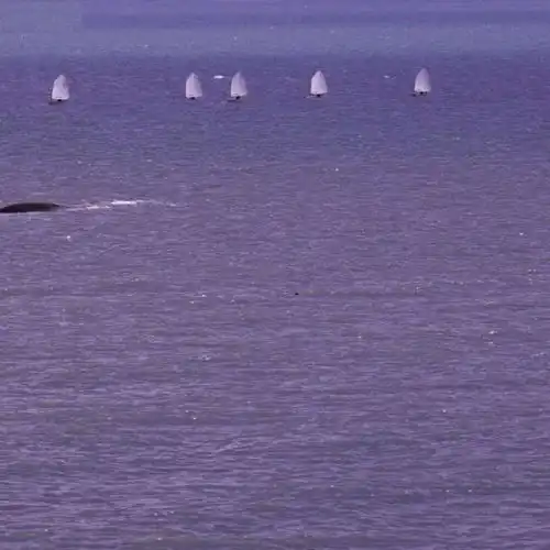 关于大海的治愈系文案