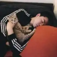 男生抱在怀里猫咪头像微信头像图片大全