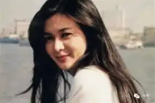 回忆杀丨我们来了第二季关之琳重现经典十三姨