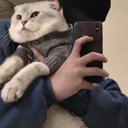 男头丨夏季限定