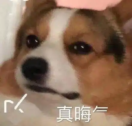 惊天大瓜妻子成功复仇渣男丈夫的故事