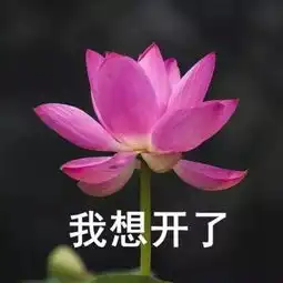 小长假人从众,你到达目的地了么