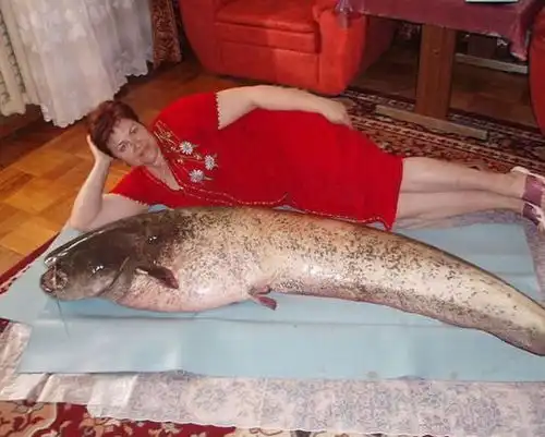 搞笑gif动画姑娘人家只让你搬过去而已,那么感动做什么呢