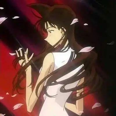 柯南情头一左一右抖音最火2020柯南一人一张cp情头