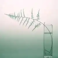 微信头像男胖子卡通头像微信头像图片大全