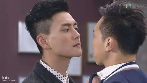 都是港味痞帅男星,陈伟霆大陆人气远超黄宗泽,因为黄宗泽老了