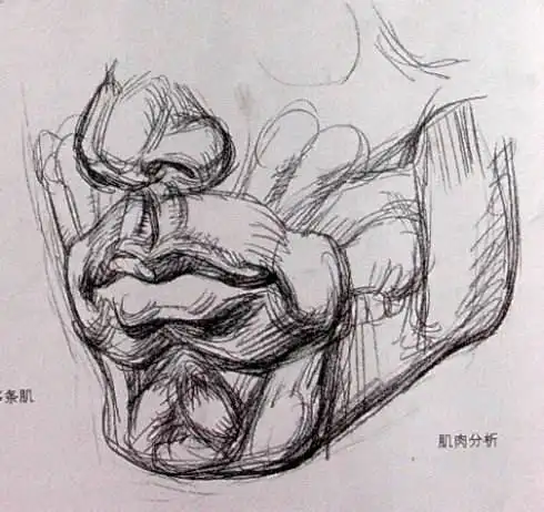 艺伴直播素描画头像素描之前你要先学会这一点