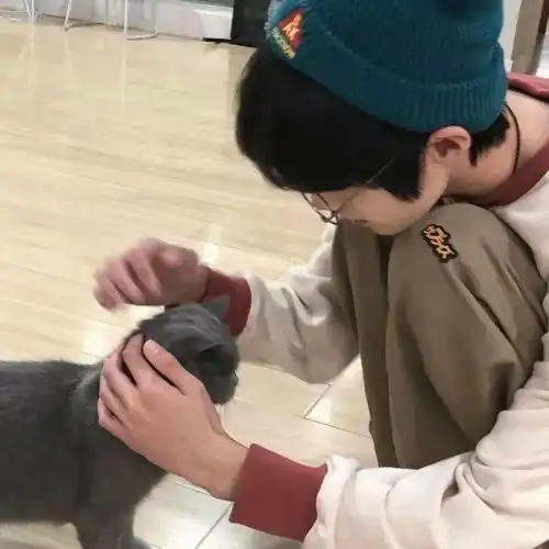 超酷男女生高冷头像别爱我,没结果