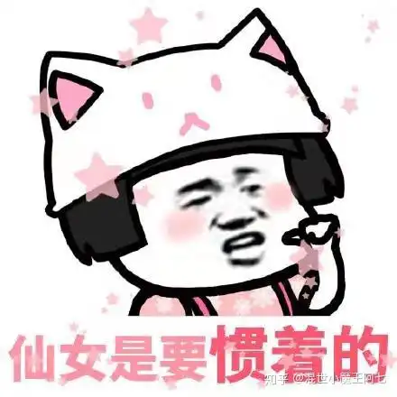 猫咪如何表达爱意