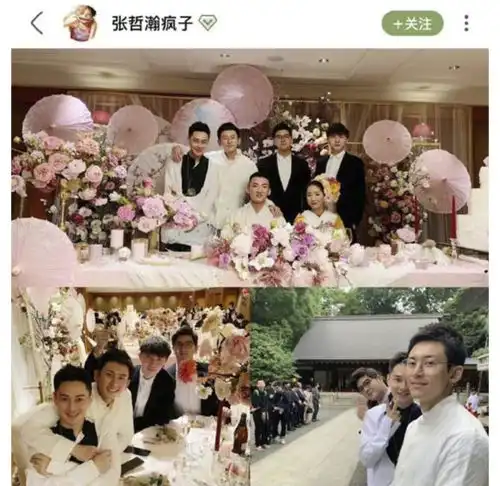 这是一场有预谋的策划,将顶流拉下神坛,张哲瀚这次一点不冤