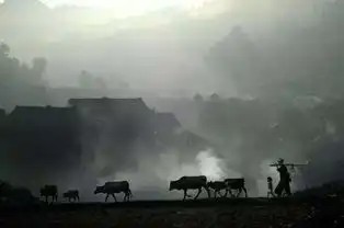 佛语一句话经典语录,看完大彻大悟