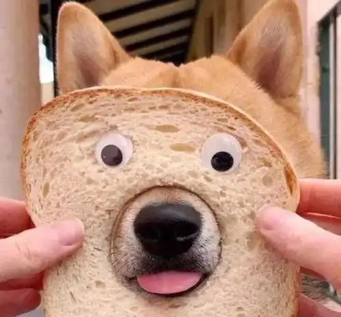 网易云音乐热评,哪一句最触动你