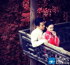 抓住彩虹的男人郑爽悔恨体走红网络