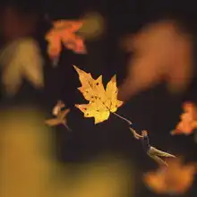 眼界