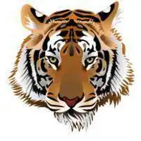 微信头像老虎图片大全霸气凶猛微信头像图片大全