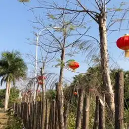 厦门天竺山森林公园攻略,天竺山森林公园门票游玩攻略地址图片门票价格