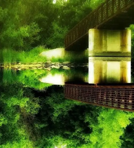 匪夷所思分不清现实虚幻的倒影图片