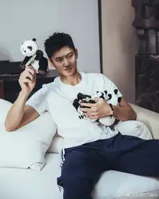 魅力无人能挡宁泽涛怀抱熊猫玩偶可爱又帅气,干净清爽男神范十足