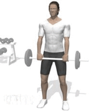 背肌训练大法,成为猛男就这么办