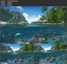 珊瑚礁海底海鱼海藻礁石视频素材vj背景模板高清mp4格式下载视频29.48mbled视频背景视频大全